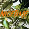 NiceTime e.V. 