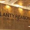 planty_reasons_stuttgart (1)