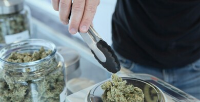 cannabis_social_club_wiegt_cannabis_auf_feinwaage_ab