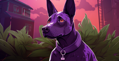 purple_dog_bud_main