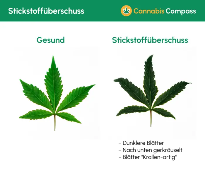 Stickstoffüberschuss