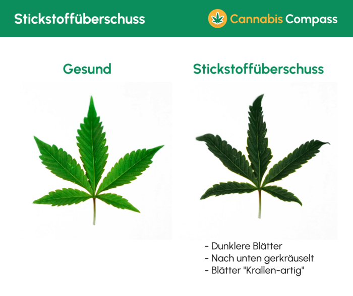 Stickstoffüberschuss