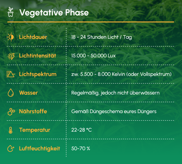 Vegetative_Phase_Uebersicht