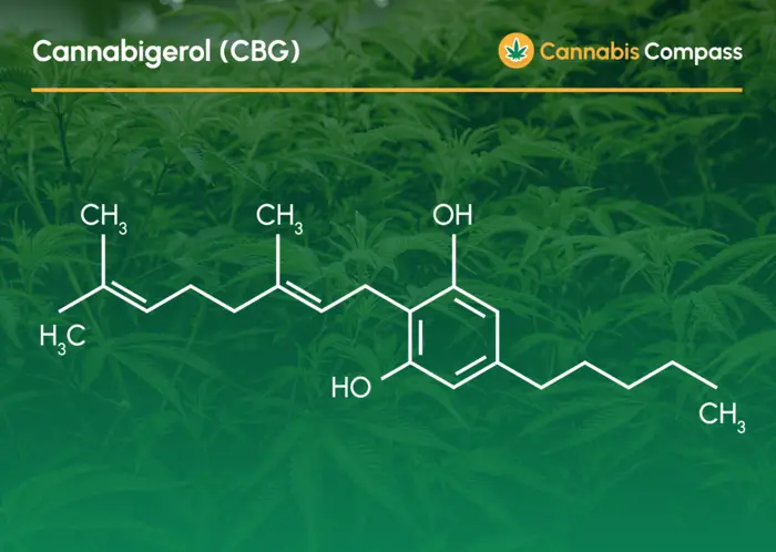 Strukturformel CBG