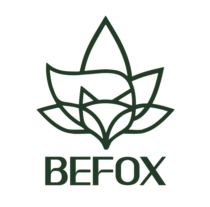 logo_befox_detox