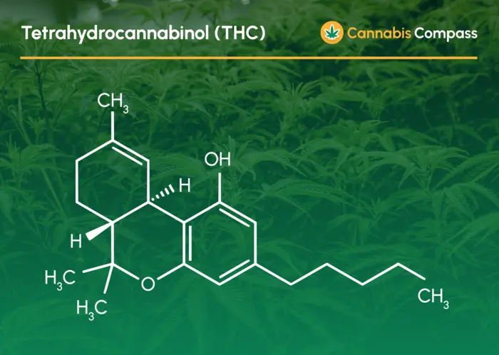 Strukturformel THC