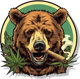 csc-420-bearz