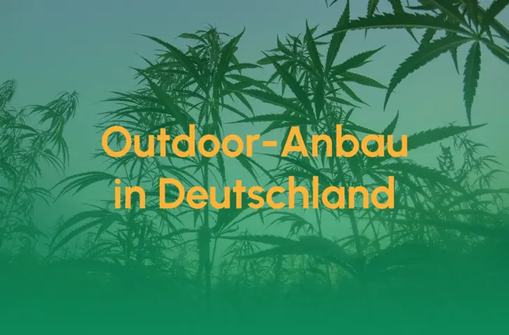 Teaser_Outdoor_Anbau_Deutschland