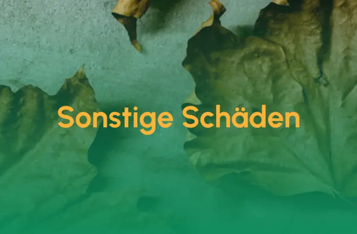 Sonstige Schaeden