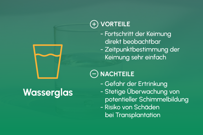 840 Keimung Wasserglas