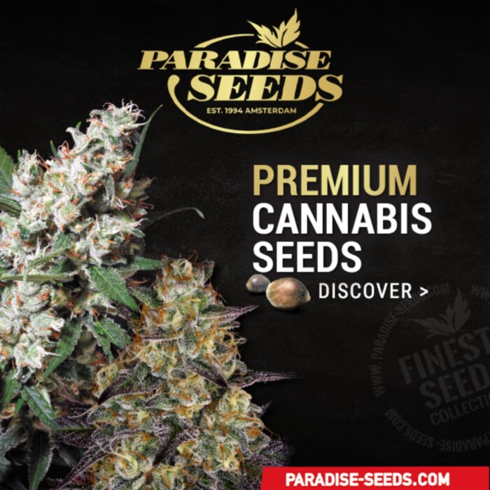 Einsteiger-Set-Empfehlungen und wichtiges Zubehör 15 Paradise Seeds