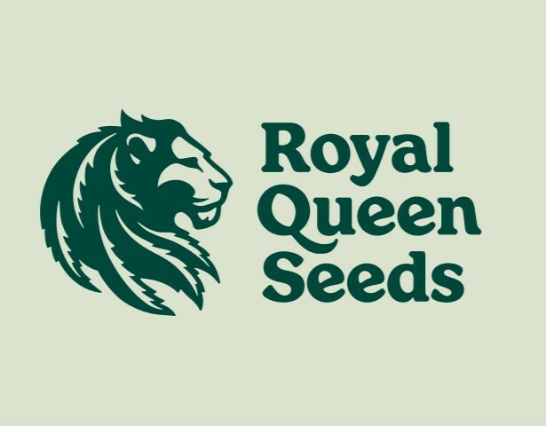 Einsteiger-Set-Empfehlungen und wichtiges Zubehör 14 Royal Queen Seeds