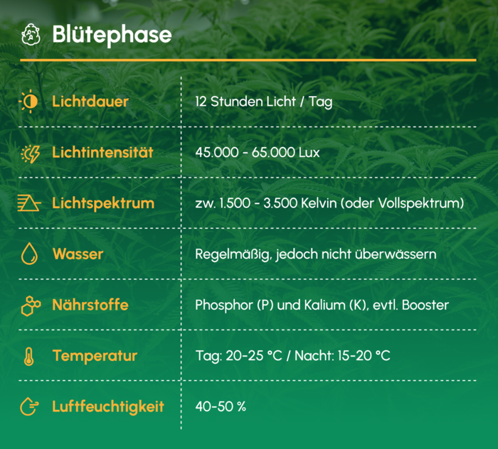 Blütephase (ca. 7 - 14 Wochen) 19 Übersicht über die wichtigsten Werte und Faktoren in der Blütephase