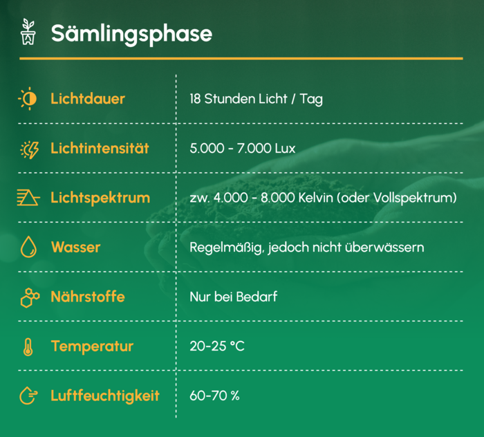Sämlings- / Stecklingsphase (ca. 2 - 3 Wochen) 2 Cheatsheet für die Sämlingsphase