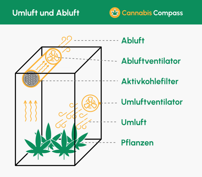 Vegetative Phase (ca. 3 - 15 Wochen) 15 Schematischer Aufbau von Umluft und Abluft in einem Growing-Zelt